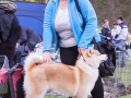 Dobre Miasto 2015-05-01_00141.jpg