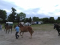 IMG_20150607_132336