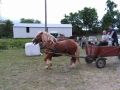 IMG_20150607_132731