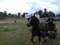 IMG_20150607_134705