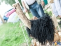 Knopin_Dobre_Miasto_guttstad2015-08-01_00010