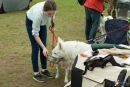 2016-05-01 dobre miasto wystawa psów psy (49)