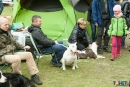2016-05-01 dobre miasto wystawa psów psy (57)