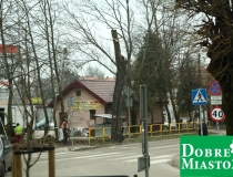 2016-12-16 warszawska drzewo wycinka piła drwal (3) (Medium)