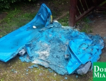 20170705_093056 (Medium)