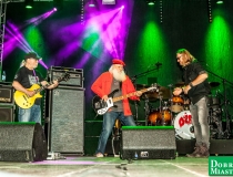 2017-07-22 Dobre Miasto koncert Dżem (90)