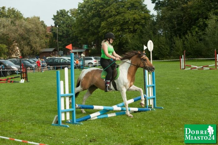 Zawody-konne-Dobre-Miasto_00005