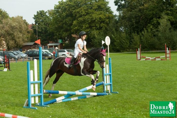 Zawody-konne-Dobre-Miasto_00006