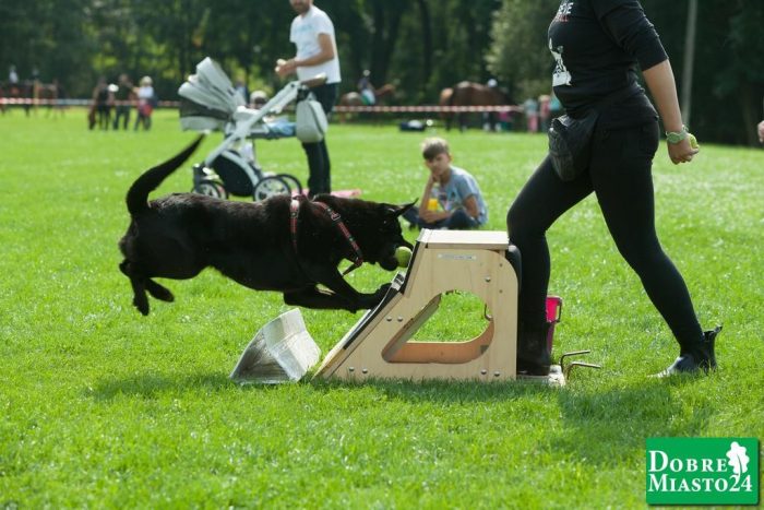 Zawody-konne-Dobre-Miasto_00024