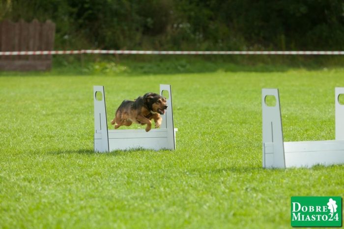 Zawody-konne-Dobre-Miasto_00025