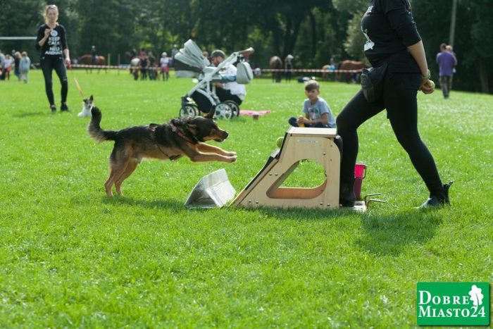 Zawody-konne-Dobre-Miasto_00026