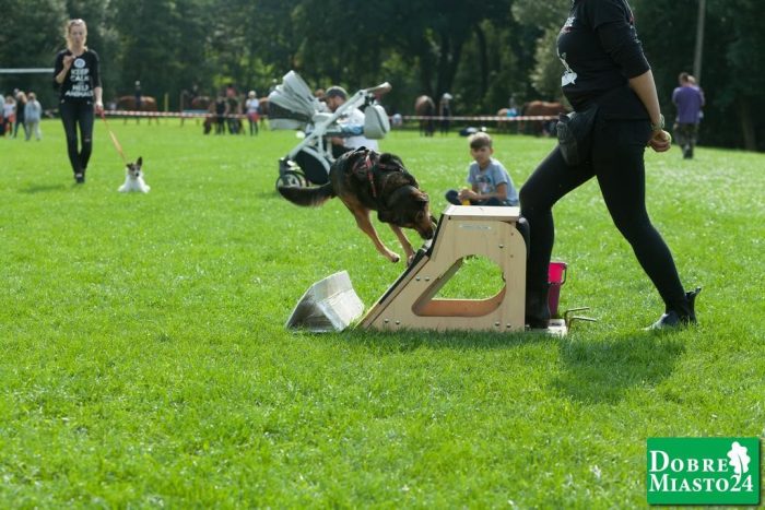 Zawody-konne-Dobre-Miasto_00027