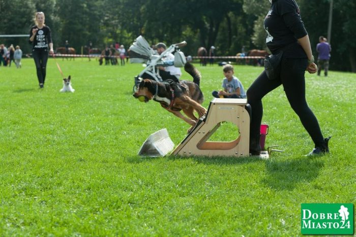 Zawody-konne-Dobre-Miasto_00028