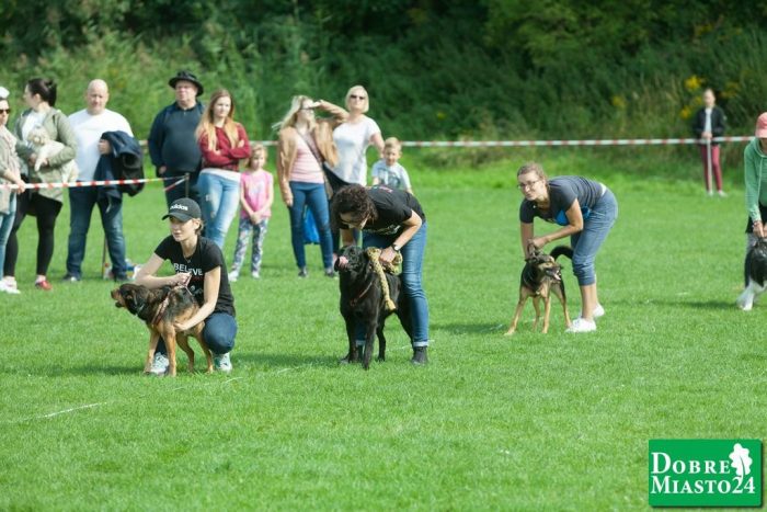 Zawody-konne-Dobre-Miasto_00039