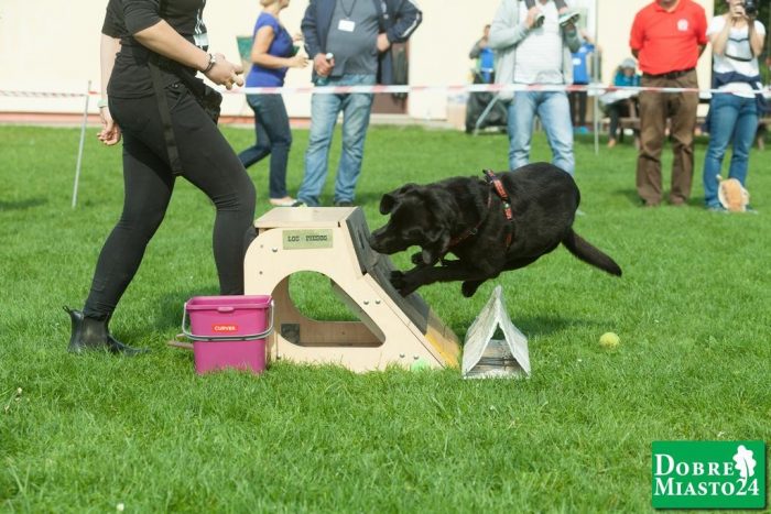 Zawody-konne-Dobre-Miasto_00042