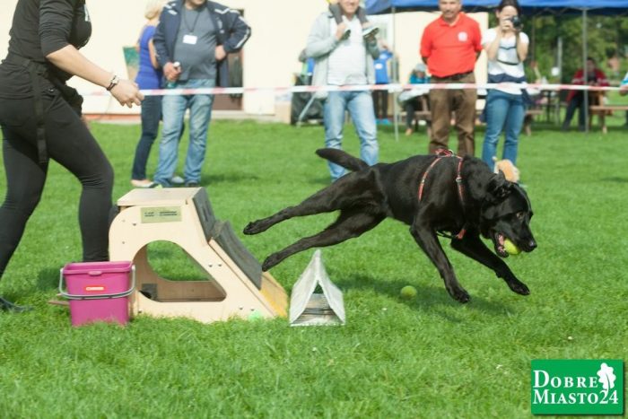 Zawody-konne-Dobre-Miasto_00043