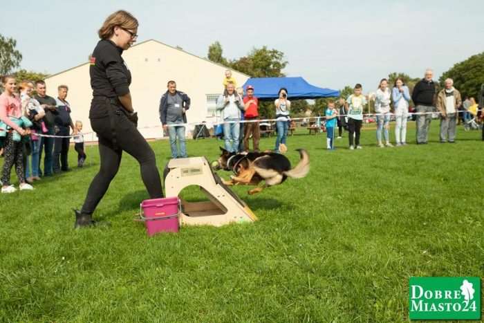 Zawody-konne-Dobre-Miasto_00046