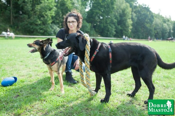 Zawody-konne-Dobre-Miasto_00047