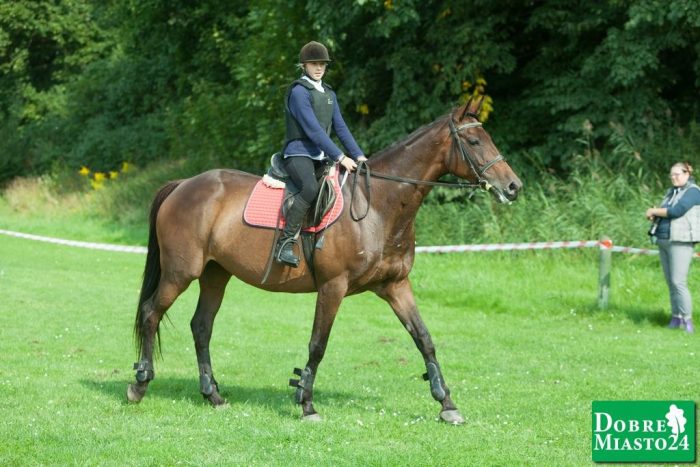 Zawody-konne-Dobre-Miasto_00077