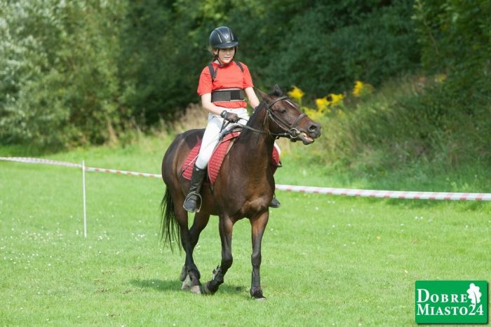 Zawody-konne-Dobre-Miasto_00079