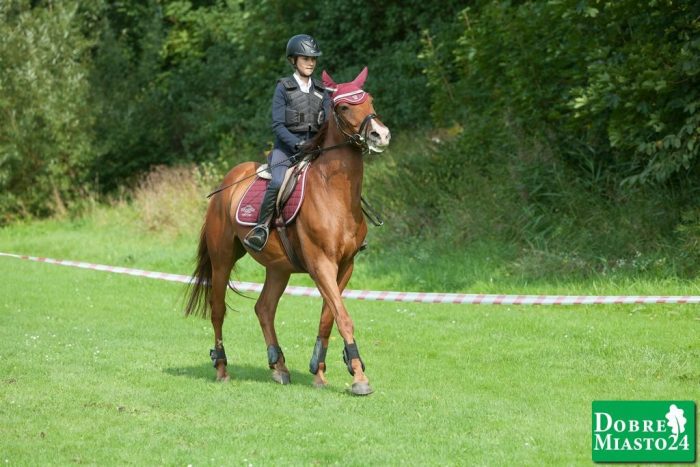 Zawody-konne-Dobre-Miasto_00088