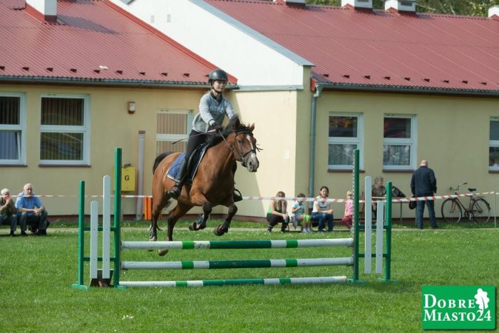Zawody-konne-Dobre-Miasto_00090