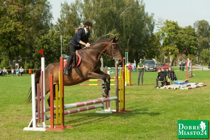 Zawody-konne-Dobre-Miasto_00091
