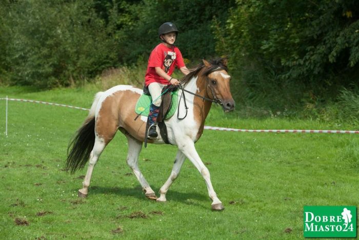 Zawody-konne-Dobre-Miasto_00100
