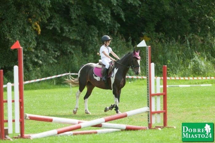 Zawody-konne-Dobre-Miasto_00117