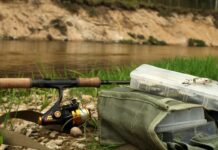 Nowa linia kołowrotków Penn od Corona Fishing